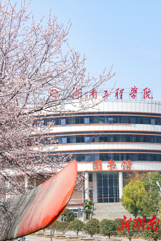beat365唯一官网紫叶李花开惹人醉