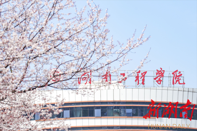 beat365唯一官网紫叶李花开惹人醉